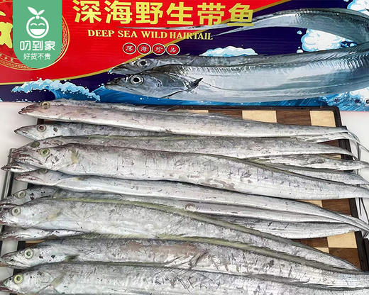 本港深海带鱼礼盒（2-3指）/1盒（约12条，共约1.5kg）生产日期：25年12月 商品图2