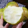 山西玉露香梨5.8元1斤，周三到 商品缩略图4