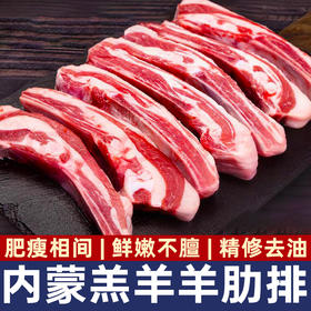 HOOORSH 蒙古羔羊手抓羊肋排1kg*1袋 原切无添加，黄金肌脂比把控，入口丰腴不腻，瘦而不柴