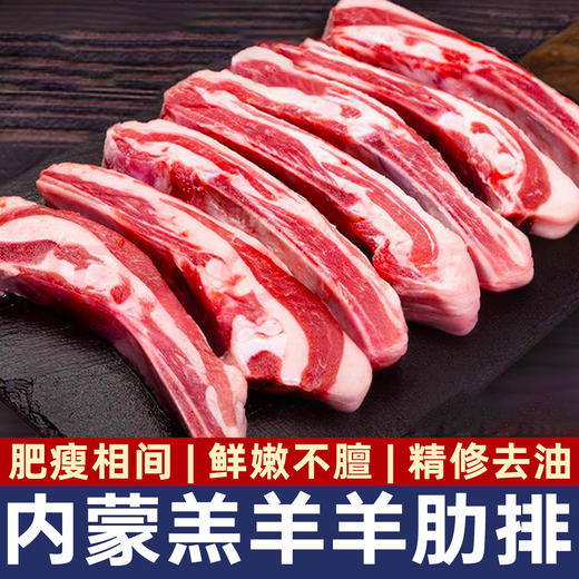 HOOORSH 蒙古羔羊手抓羊肋排1kg*1袋 原切无添加，黄金肌脂比把控，入口丰腴不腻，瘦而不柴 商品图0