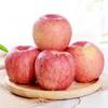山西冰糖心红富士苹果 4.5斤/8.5斤 个头饱满果香浓郁，果肉嫩汁水多，一口就喜欢，吃过就难忘 商品缩略图5