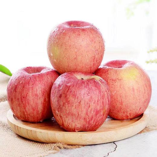 山西冰糖心红富士苹果 4.5斤/8.5斤 个头饱满果香浓郁，果肉嫩汁水多，一口就喜欢，吃过就难忘 商品图5