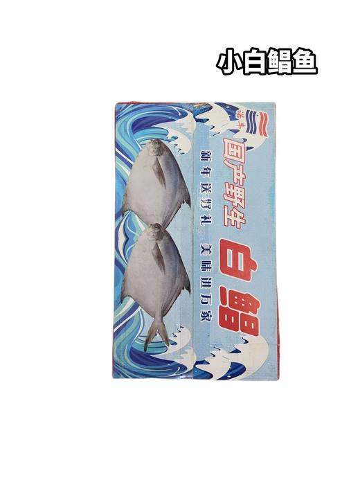 小白鲳鱼　一件19-21条上下 商品图0