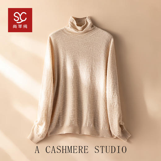 人手一件~山羊绒立体浮雕高领堆领两穿打底衫女新款毛衣CYR25089 商品图0