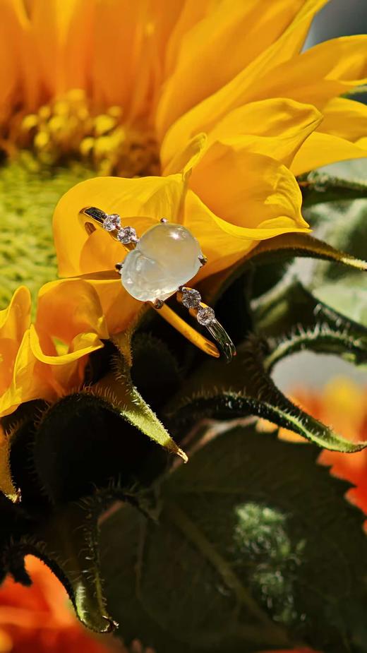 金蟾·翡翠戒指【 嘉石群播313】 商品图0