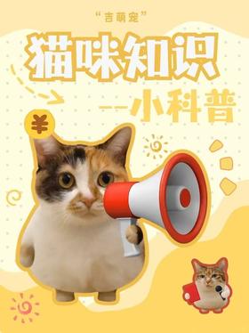 猫咪知识！全方位解锁你家主子的秘密～
