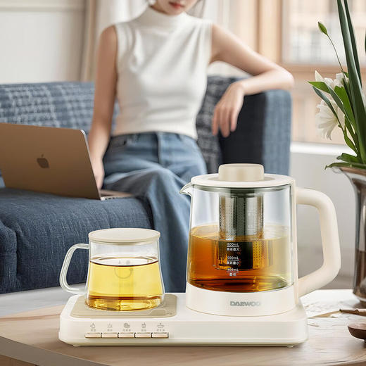 大宇多功能养生壶套装DYZC-1063 商品图4