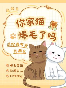 你家猫炸毛了？猫咪爆毛的原因+解决全攻略