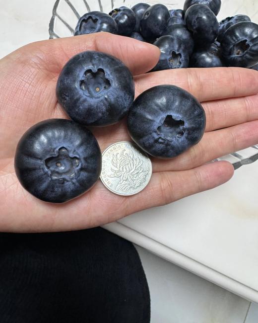 云南蓝莓【脆甜】24+单盒 商品图2