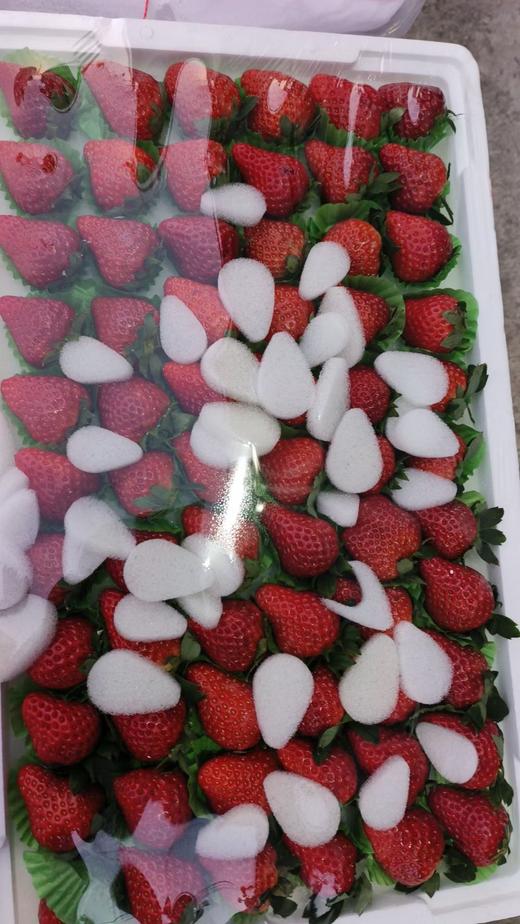 丹东 99草莓  整板【甜】大板 商品图0