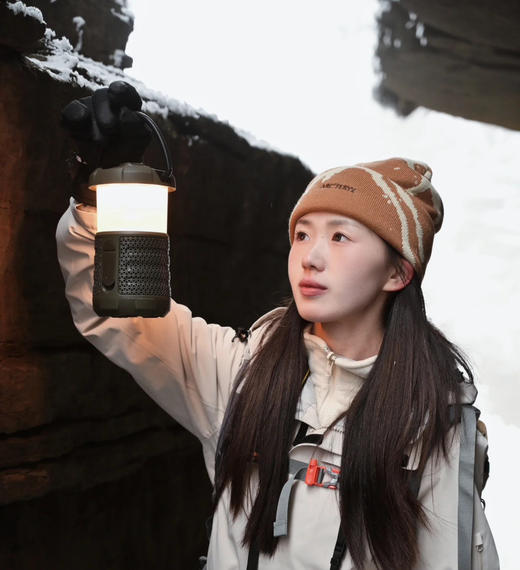 鸟马赛克情侣款针织毛线帽冷帽30115 商品图2