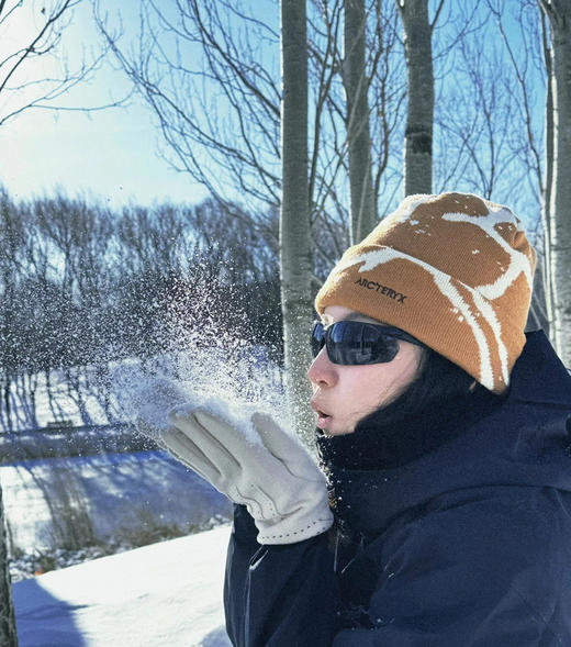 鸟马赛克情侣款针织毛线帽冷帽30115 商品图1