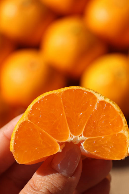 涌泉蜜桔家庭装，口感鲜嫩，水份十足，入口即化 商品图1