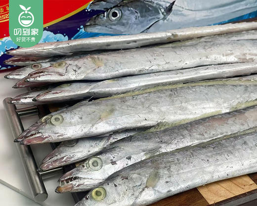 本港深海带鱼礼盒（2-3指）/1盒（约12条，共约1.5kg）生产日期：25年12月 商品图4