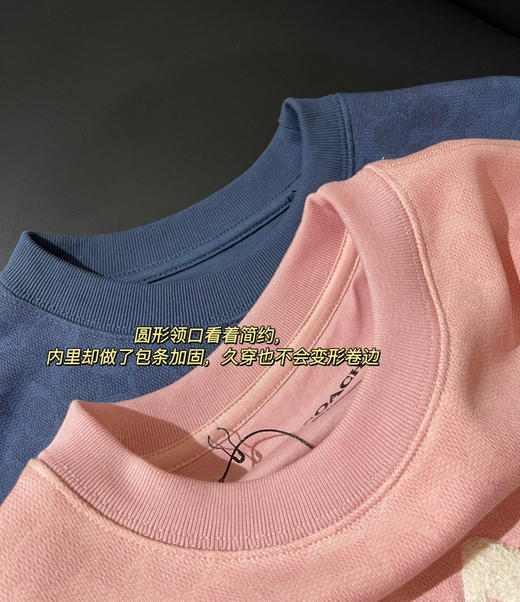 𝐂𝐇女款圆领老花毛毡刺绣小标卫衣815 商品图7