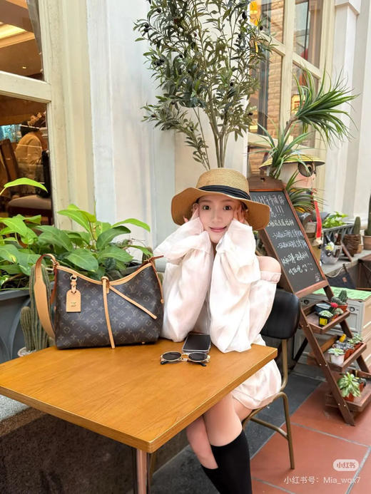 LV carryall 小号 老花 斜挎包 商品图2