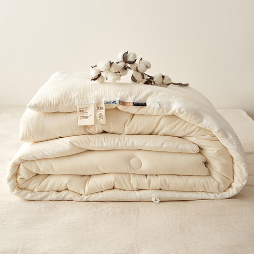 【棉小芙A类大豆被】秋冬被春秋被全棉蓬松A类保暖柔软棉小芙大豆被民宿 商品图3