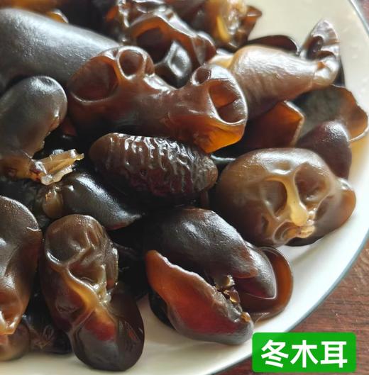 东北特级冬木耳（黑木耳） 商品图3