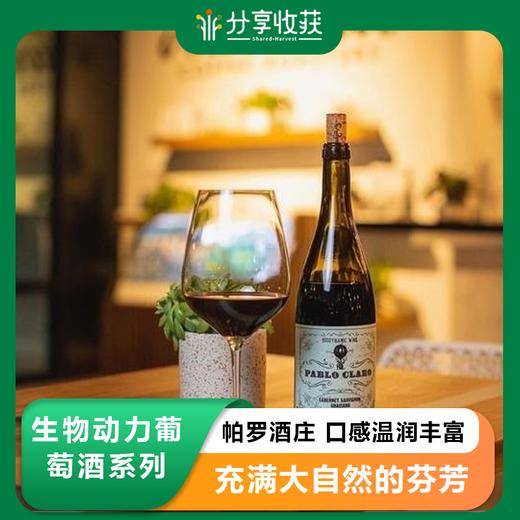生物动力葡萄酒系列(帕罗酒庄) | 口感温润丰富  | 合作生产｜基地直发包邮 * Biodynamic Wine Collection 商品图0
