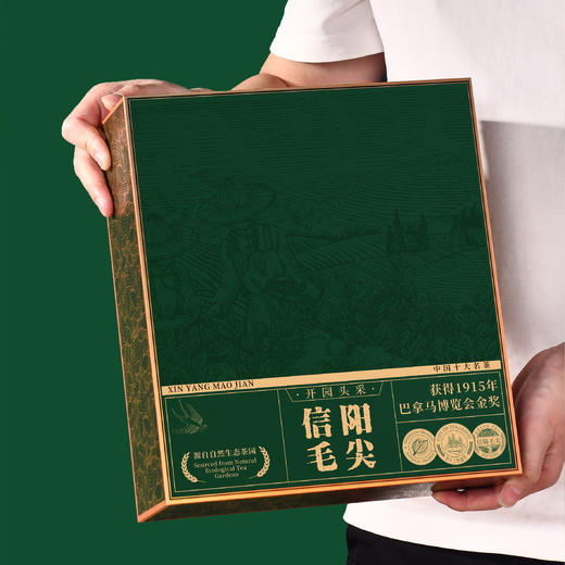 金枝玉叶【信阳毛尖专版 4罐 绿色】42元一套/一件12套 商品图1