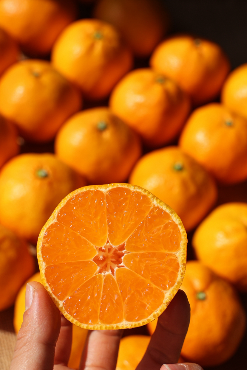 涌泉蜜桔家庭装，口感鲜嫩，水份十足，入口即化