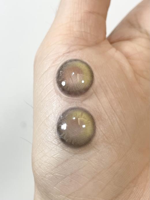 Boompop 日抛 棕榈岛 直径14.5mm着色13.0mm 商品图5