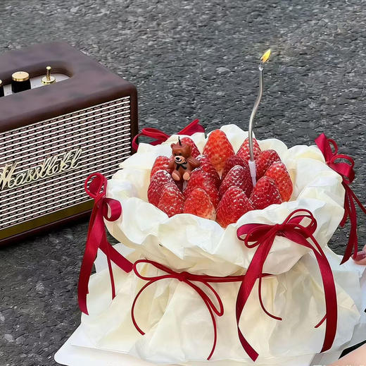 小熊抱莓 商品图0