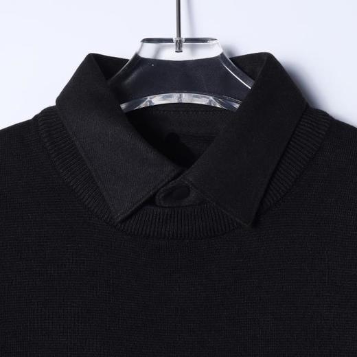 9629SDSA男士秋冬新款痞帅男装老钱风假两件翻领毛衣简约百搭针织衫 商品图2