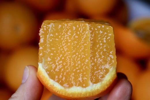 浙江象山  红美人果汁柑橘  Q弹似果冻  汁水丰富无比 商品图12