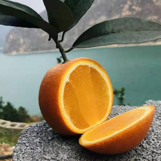 【京东快递】正宗大凉山雷波脐橙 金沙江畔 国家地标产品 不打药 纯甜无酸 表皮橙红光亮 果味四溢 果肉饱满爽脆咀嚼感 BXLXG 商品图1