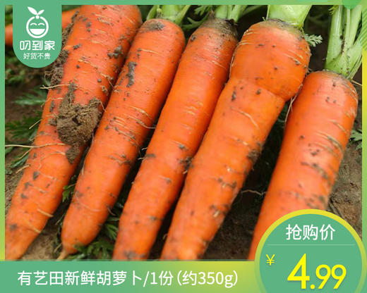 【叼鲜蔬】有艺田新鲜胡萝卜/1份（约350g） 商品图0