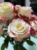 厄瓜多尔进口染色玫瑰Sweetness 甜心鲜切花10支 商品缩略图1
