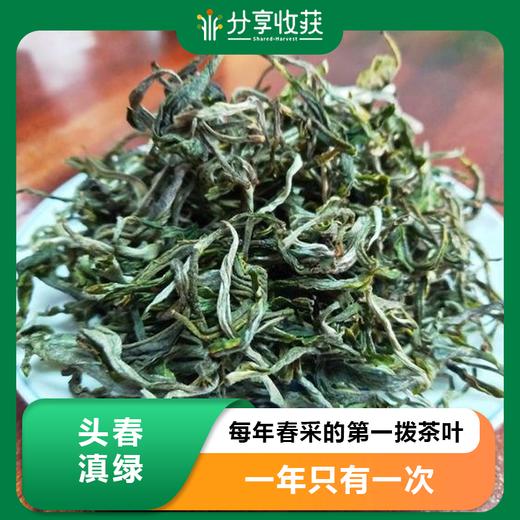头春滇绿 清冽甘甜 | 公平贸易 | 基地直发 包邮 * Green Tea In Spring | Fair Trade 商品图0