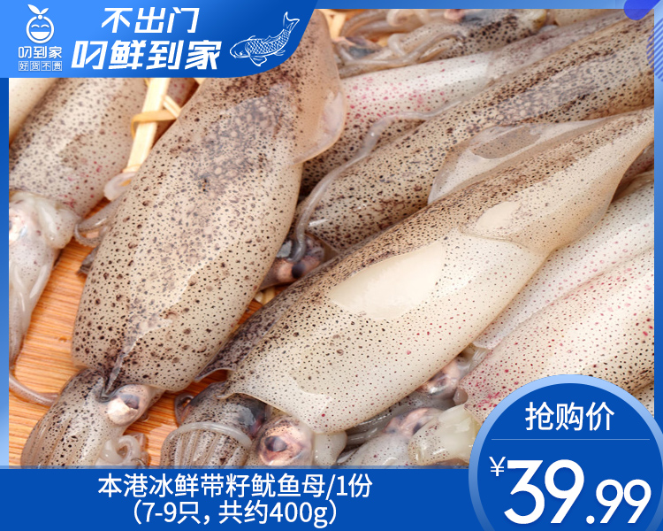 【叼鲜】本港冰鲜带籽鱿鱼母/1份（7-9只，共约400g）