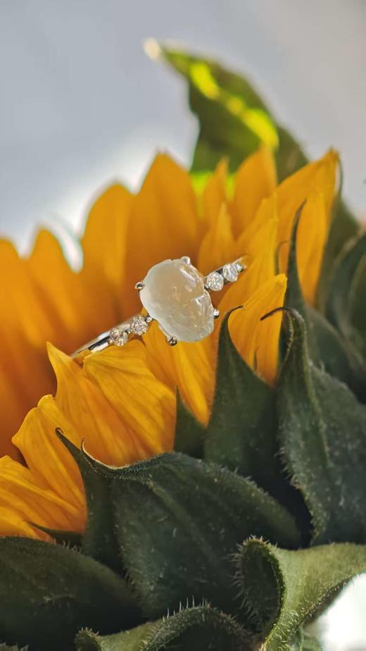 金蟾·翡翠戒指【 嘉石群播313】 商品图10