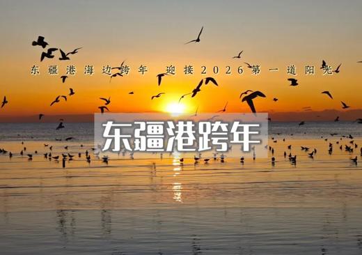 12.31下班后出发｜天津•烟花跨年｜东疆港日出&海鸥の泰达航母跨年烟花秀--古文化街-意式风情区-五大道 2026“津”彩绽放！ 商品图0