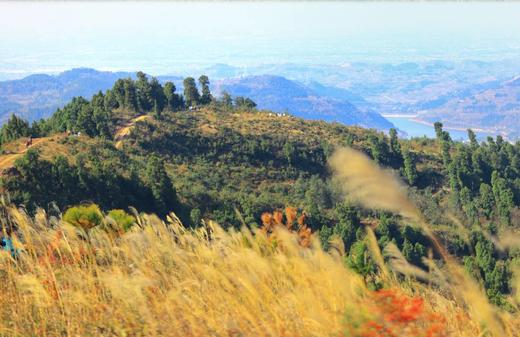 12.20/21，每周一山，亲子徒步，彩林最美的季节，甲尔猛错-带娃看冰瀑，卧龙高山牧场，漫步高山草甸，穿越森林，邂逅成群牛羊马，亲子游戏。 商品图6