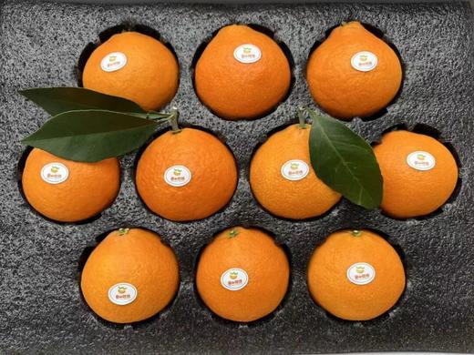 柑橘天花板「红美人」！香甜Q弹 可以吸着喝的爆汁果冻！ 商品图2