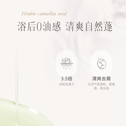 【买一送一】诗朗茶籽净油蓬松洗发露 干净轻盈蓬松 温和不伤头皮 浴后0油感 清爽自然蓬 商品图5