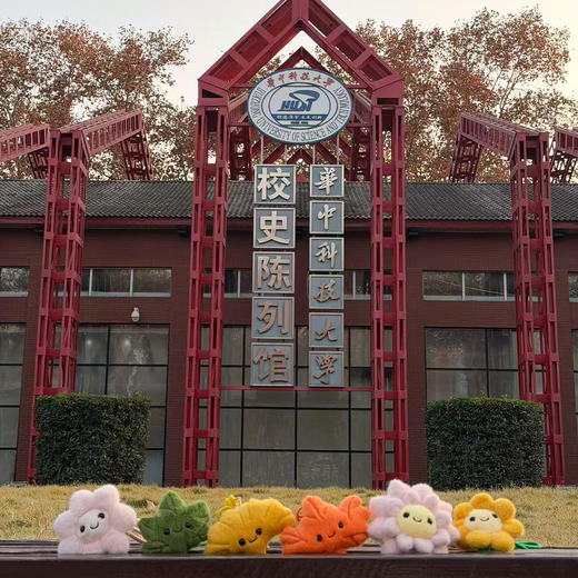 华科大毛绒植物挂件 商品图6