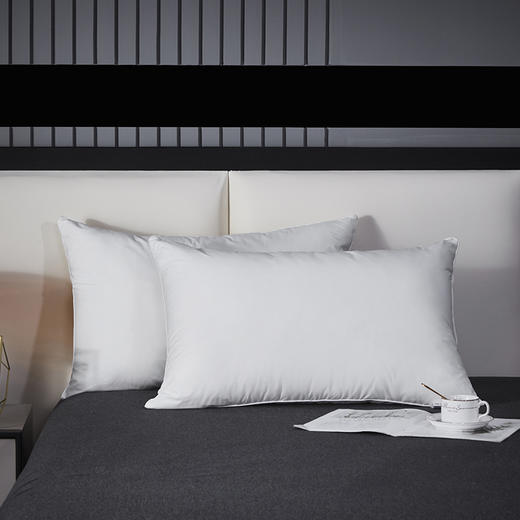 红豆/HONGDOU星级酒店枕48*74cm*2  HD-Z230402 商品图0
