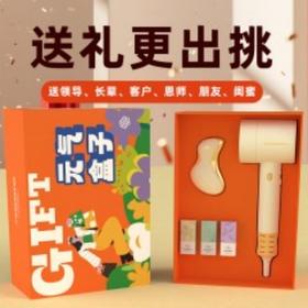 和正元气盒子HZ-BOX-6（1个电动吹风机+1个电动刮痧仪+精油三罐）