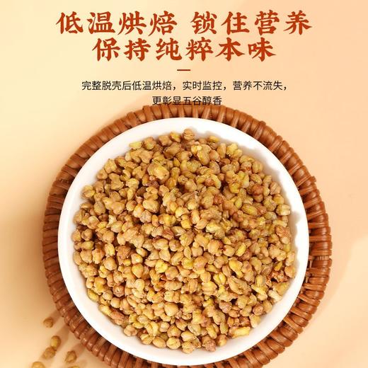 【福东海】苦荞茶250克/瓶 商品图4