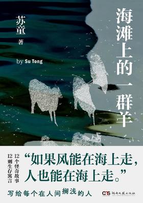 海滩上的一群羊