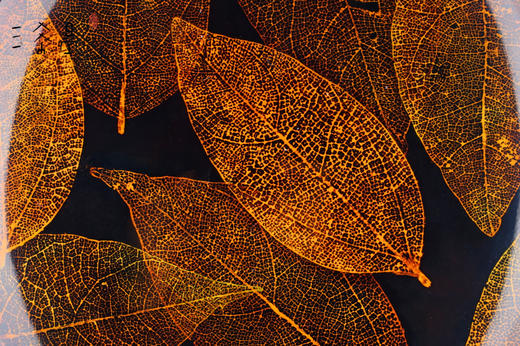 三希堂  流霞系列  《悟秋》大漆茶罐 商品图3