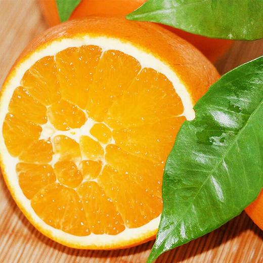 雷波脐橙4粒 900g/份  橙子 商品图4
