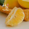 【黄金葡萄柚】秋冬的深水炸弹、福建葡萄柚 玲珑小巧· 可以徒手榨汁的柚子  皮薄肉厚 · 沁人心脾 · 甜而不腻 · 入口化渣 -XNYKC 商品缩略图9