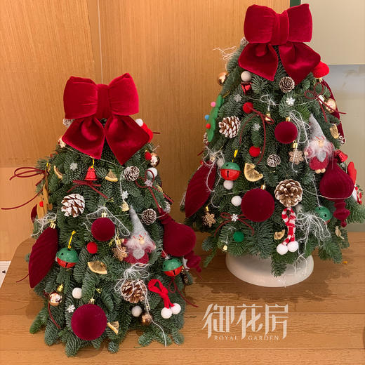 诺贝松圣诞树 商品图5