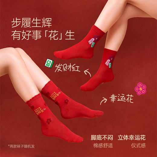 【E】幸棉 × 有钱花联名红运内衣套装礼盒 商品图5