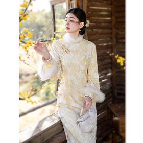 SKY 3125239时尚改良新中式长款拉丝绒复合加绒年轻款旗袍裙